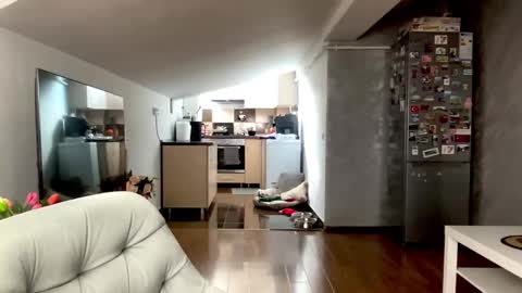 Snapshot of amyroberta92 chatting on February 25, 8:13 am amyroberta92 online show from February 25, 8:13 am