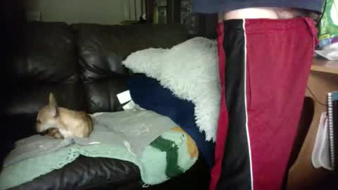 anal_king666 online show from January 12, 1:33 am