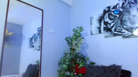 Snapshot of analia_01 chatting on February 8, 3:10 pm Analia online show from February 8, 3:10 pm