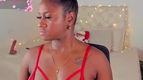 A N A  my connection hours are from 600 pm to 12 pm Colombian time online show from December 14, 3:18 am