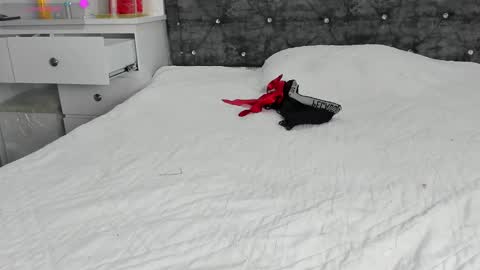 Snapshot of anastasia_danger1 chatting on January 1, 4:18 pm  ANASTASIA DANGER  online show from January 1, 4:18 pm