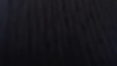 Snapshot of anddrea_ chatting on January 2, 12:03 pm online show from January 2, 12:03 pm