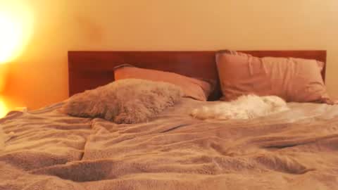 Andra online show from February 25, 7:01 pm