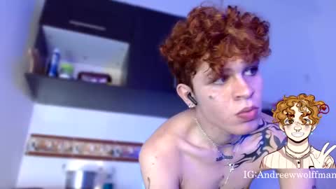 Snapshot of andreewwolffman chatting on January 14, 4:15 am Andrew online show from January 14, 4:15 am