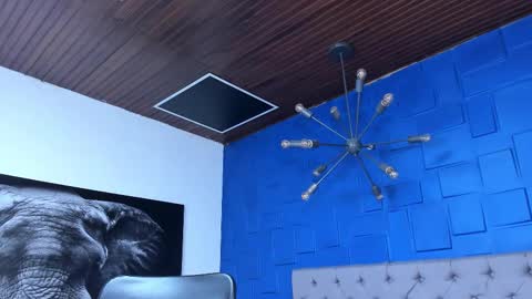 insta andres clark  online show from December 14, 2:55 pm