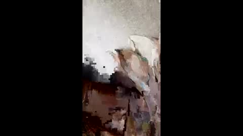 andresvm4796 online show from April 25, 8:06 am