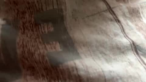 Zloy online show from October 19, 8:37 am