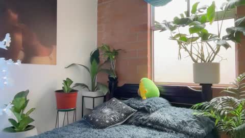 Andy online show from February 5, 1:05 pm