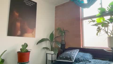 Andy online show from February 24, 1:09 pm