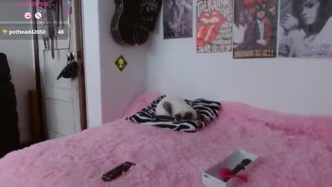 Snapshot of andy_rock_ chatting on November 6, 2:29 pm andy online show from November 6, 2:29 pm