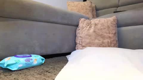 Anell online show from November 24, 4:01 am