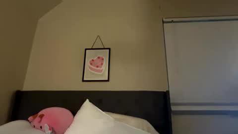 Princess Peach online show from February 23, 9:00 am