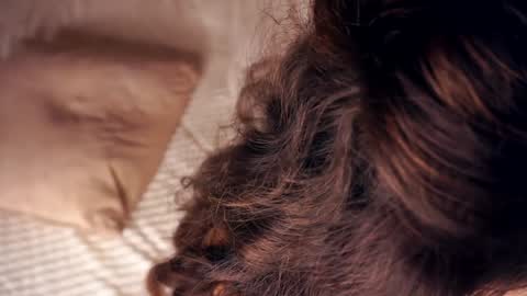 Snapshot of angelicapretybb chatting on January 20, 10:40 am Angelica online show from January 20, 10:40 am