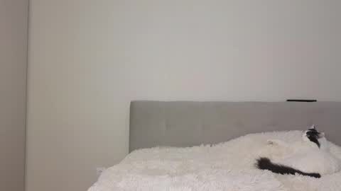 Angel online show from April 24, 3:42 am