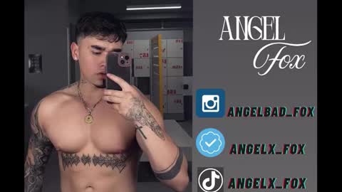 Angel Fox online show from November 26, 3:40 am