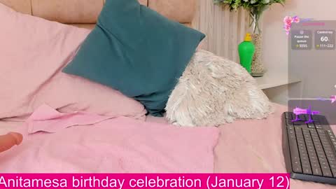 Snapshot of anitamesa chatting on January 8, 8:49 am Anita online show from January 8, 8:49 am