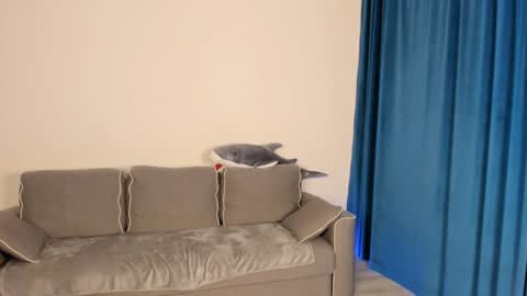 anna miuu online show from December 5, 5:37 am