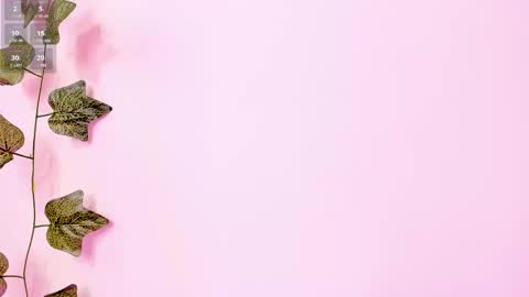 Anne online show from February 2, 9:23 pm