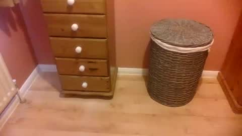 annecharlie online show from November 16, 8:42 am