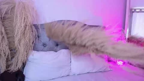 annie_20_ online show from March 27, 5:23 pm