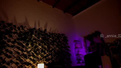 Snapshot of annie_barozzi chatting on December 20, 3:42 pm annie_barozzi online show from December 20, 3:42 pm