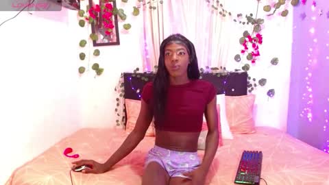 antonella747158 online show from November 28, 8:17 am