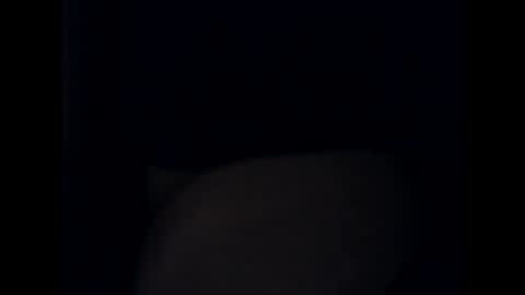 Snapshot of antxon12 chatting on October 13, 10:54 pm antxon12 online show from October 13, 10:54 pm