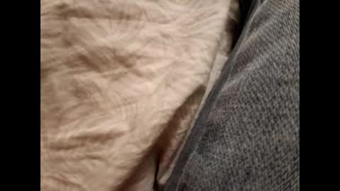 Snapshot of anytime07 chatting on November 17, 8:47 pm Daddy online show from November 17, 8:47 pm