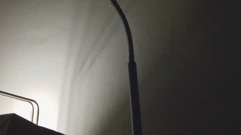 Snapshot of anytime07 chatting on January 9, 7:44 am Daddy online show from January 9, 7:44 am