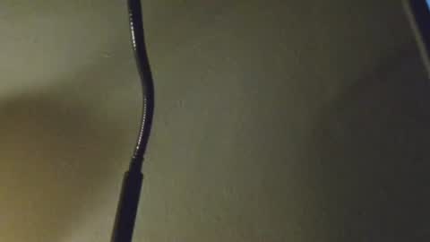 Snapshot of anytime07 chatting on March 3, 5:24 am Daddy online show from March 3, 5:24 am