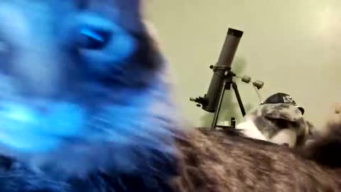 Snapshot of aphrodite60 chatting on January 12, 6:28 am Aphrodite60 online show from January 12, 6:28 am