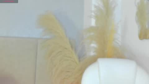 Snapshot of april_ebony18_ chatting on April 29, 10:41 am April online show from April 29, 10:41 am