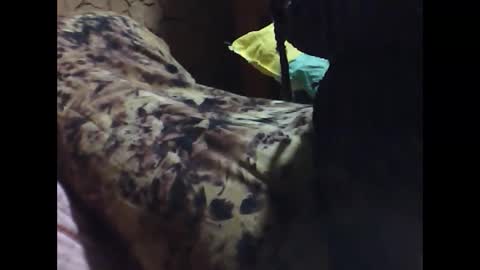 ara bellah online show from March 21, 8:34 pm