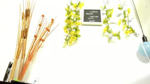 ARABELA online show from January 19, 1:21 am