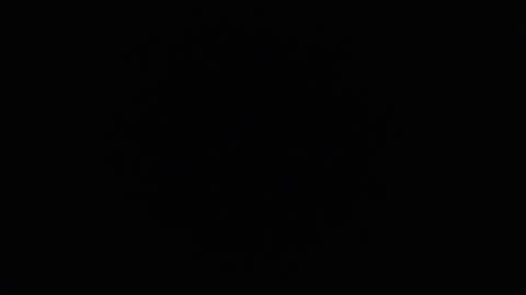 Snapshot of ares_xxxx chatting on December 6, 11:44 am ARES online show from December 6, 11:44 am