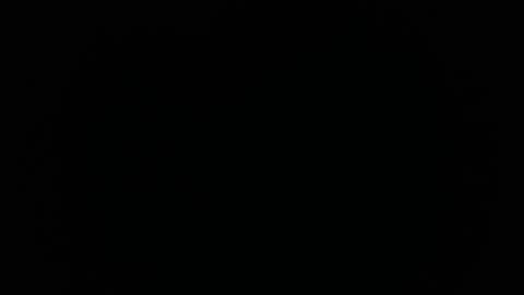 Snapshot of ares_xxxx chatting on January 31, 2:39 pm ARES online show from January 31, 2:39 pm