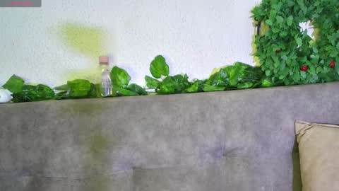 ari online show from December 11, 6:04 am