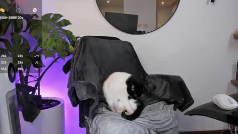 DaniAri - dimension X at night NY time online show from January 28, 3:47 am