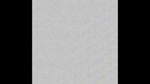 Arianna Collins online show from October 6, 11:51 am