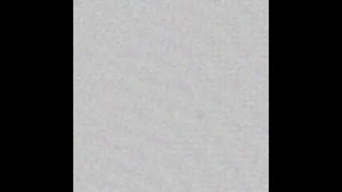 Arianna Collins online show from February 2, 11:53 am