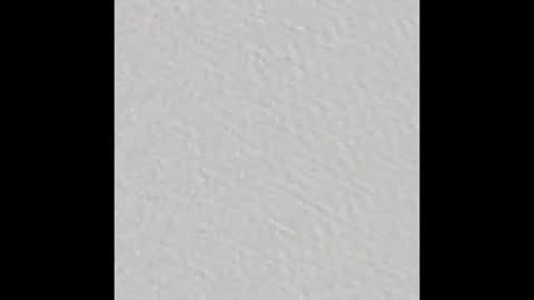 Arianna Collins online show from March 16, 11:25 am