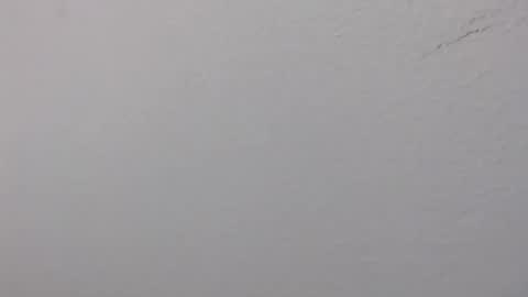 Snapshot of ariannaloovel chatting on June 14, 2:24 am ariannaloovel online show from June 14, 2:24 am
