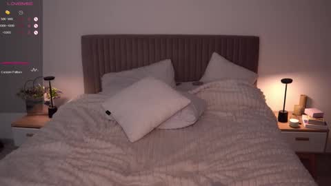 Ariel online show from February 25, 11:55 pm