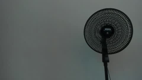 Ariel  online show from December 12, 7:30 am