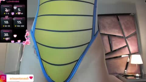 Aria online show from December 28, 11:09 am