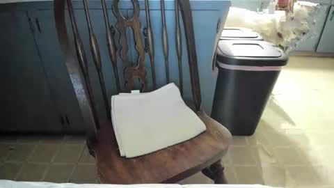 armalite16 online show from November 13, 6:23 am