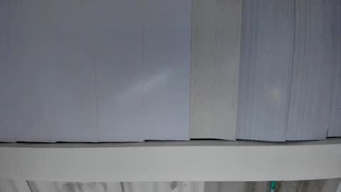 Snapshot of artemis_020 chatting on November 19, 4:23 am FENIX online show from November 19, 4:23 am