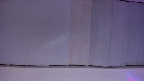 Snapshot of artemis_020 chatting on November 23, 3:06 am FENIX online show from November 23, 3:06 am