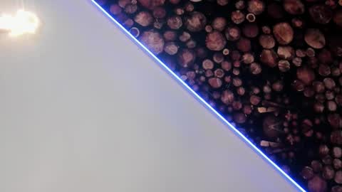 Snapshot of artemisablake chatting on March 5, 8:10 pm artemisablake online show from March 5, 8:10 pm