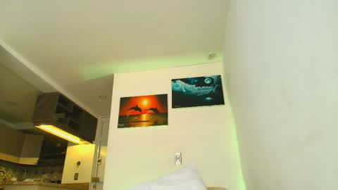 Snapshot of artt_juli chatting on February 28, 4:08 pm Im juli online show from February 28, 4:08 pm